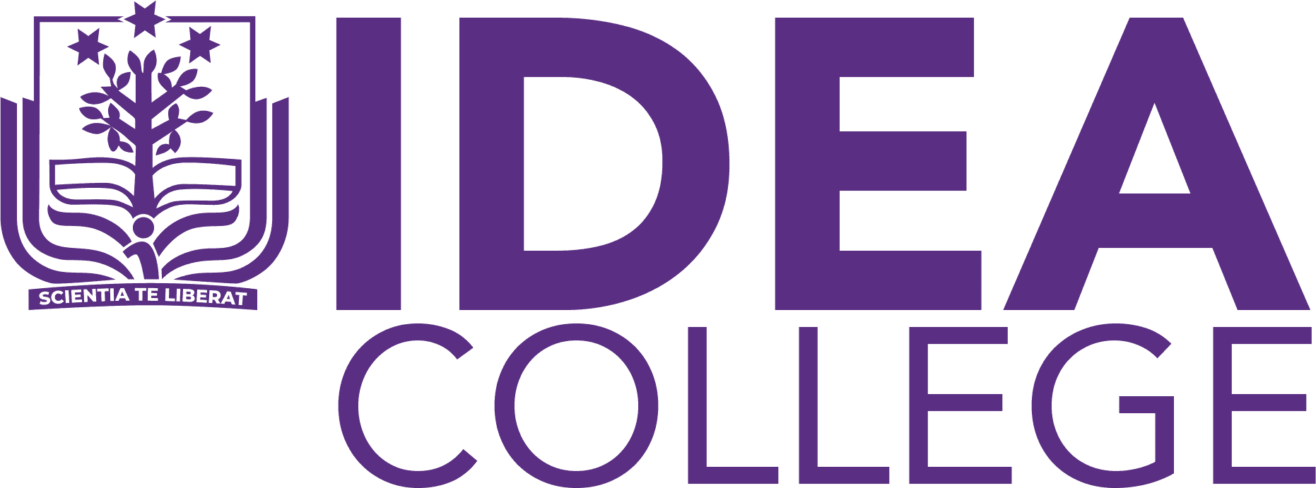 Idea College